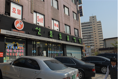 2025년 신풍동물병원 채용 기업정보 | 인크루트